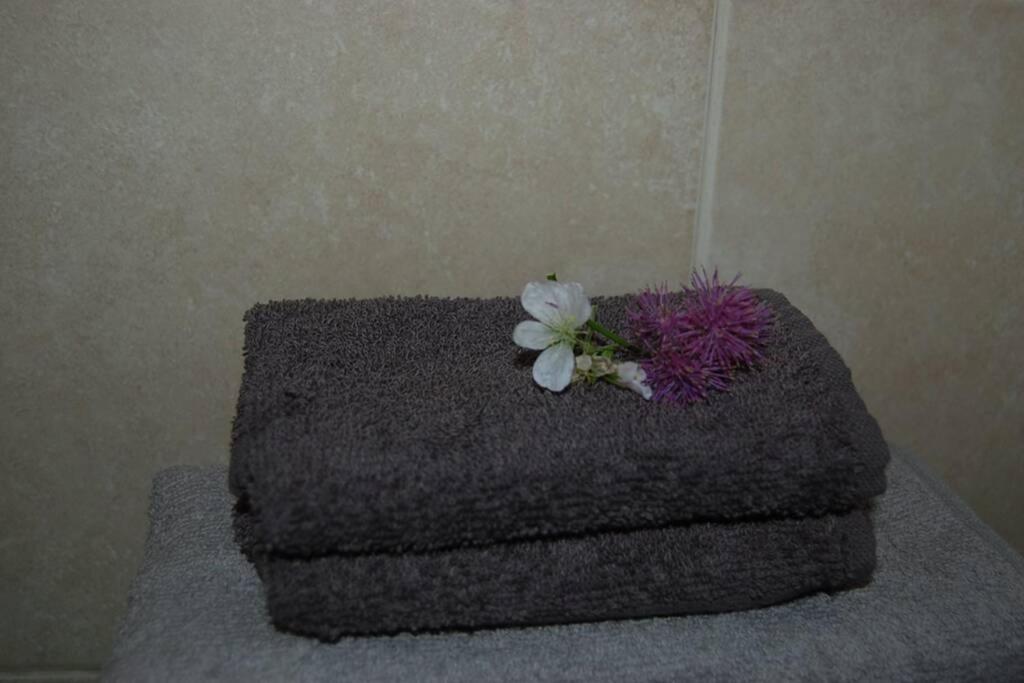 Creag Mhor Self Catering Holiday Apartment Aberfoyle  Exteriör bild